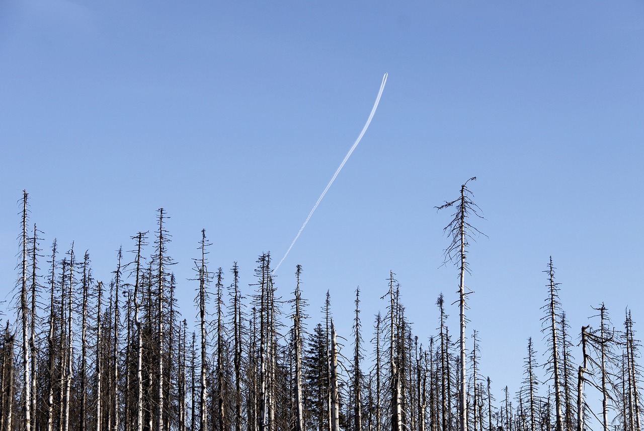 Understanding the Impact of Climate Change on Local Ecosystems